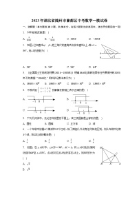 2023年湖北省随州市曾都区中考数学一模试卷（含解析）