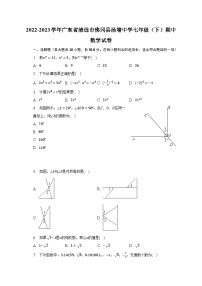 2022-2023学年广东省清远市佛冈县汤塘中学七年级（下）期中数学试卷（含解析）