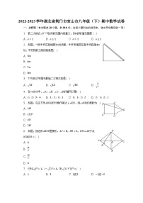 2022-2023学年湖北省荆门市京山市八年级（下）期中数学试卷（含解析）