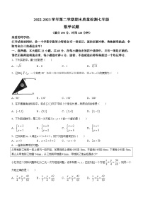 山东省德州市乐陵市2022-2023学年七年级下学期期末数学试题（含答案）