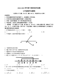 重庆市巴南区2022-2023学年七年级下学期期末数学试题（含答案）