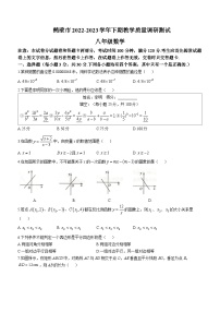 河南省鹤壁市2022-2023学年八年级下学期期末数学试题（含答案）