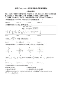河南省鹤壁市2022-2023学年八年级下学期期末数学试题(含答案)