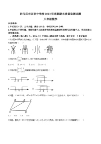 河南省驻马店市驿城区2022-2023学年八年级下学期期末数学试题（含答案）