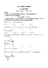 山东省泰安市泰山区2022-2023学年八年级下学期期末数学试题（含答案）