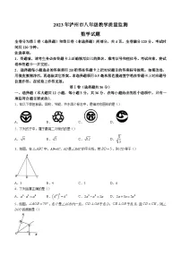 四川省泸州市2022-2023学年八年级下学期期末数学试题(含答案)