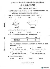 山东省菏泽市成武县2022-2023学年七年级下学期7月期末数学试题