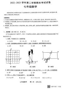 河南省濮阳市2022-2023学年七年级下学期期末考试数学试题