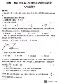 河南省周口市淮阳区河南省淮阳中学2022-2023学年八年级下学期期末考试数学试题