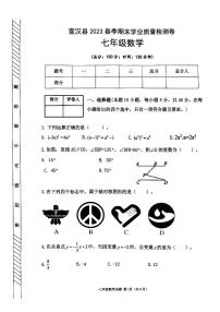 四川省达州市宣汉县2022-2023学年七年级下学期6月期末数学试题