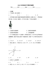 2023年河南省数学中考真题(含解析)