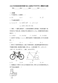 2023年河南省信阳市潢川县上油岗乡中学中考三模数学试题（含解析）