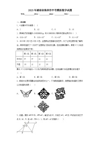 2023年湖南省株洲市中考模拟数学试题（含解析）