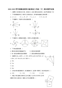 2022-2023学年湖南省邵阳市新邵县八年级（下）期末数学试卷（含解析）