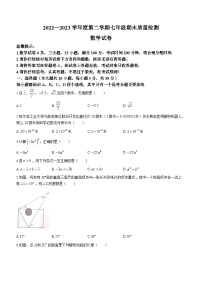 安徽省合肥市蜀山区2022_2023学年七年级下学期期末数学试题（含答案）