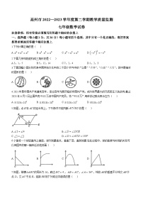 广东省茂名市高州市2022-2023学年七年级下学期6月期末数学试题（含答案）