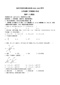 河北省沧州市孟村回族自治县2022-2023学年七年级下学期期末数学试题（含答案）