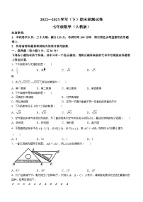 河南省焦作市2022-2023学年七年级下学期期末数学试题（含答案）