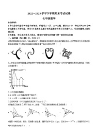 河南省平顶山市汝州市2022-2023学年七年级下学期期末数学试题（含答案）