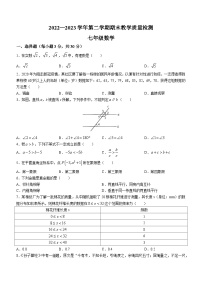 河南省许昌市襄城县2022-2023学年七年级下学期期末数学试题（含答案）