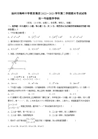 江苏省扬州市邗江区梅岭中学教育集团2022-2023学年七年级下学期期末数学试题（含答案）