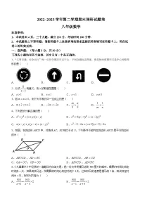 河南省平顶山市2022-2023学年八年级下学期期末数学试题（含答案）