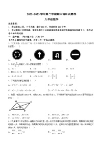 河南省平顶山市2022-2023学年八年级下学期期末数学试题(含答案)