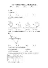 2023年河南省新乡市封丘县中考三模数学试题（含答案）