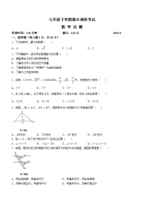 湖北省武汉市新洲区2022-2023学年七年级下学期期末数学试题