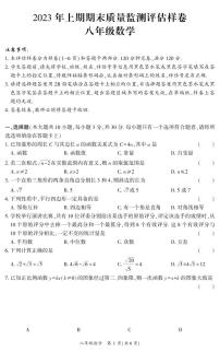 （教研室）四川省广安市岳池县2022-2023学年八年级下学期下学期期末测评数学试题