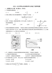 2022-2023学年山东省德州市七年级（下）期末数学试卷