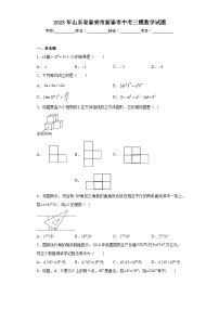 2023年山东省泰安市新泰市中考三模数学试题（含解析）