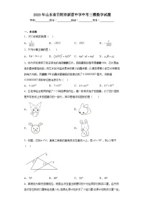 2023年山东省日照市新营中学中考三模数学试题（含解析）