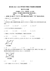 福建省泉州市惠安县2022-2023学年八年级下学期期末数学试题（含答案）