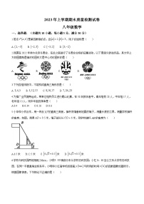 湖南省岳阳市临湘市2022-2023学年八年级下学期6月期末数学试题（含答案）