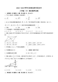 江西省宜春市高安市2022-2023学年八年级下学期期末数学试题（含答案）