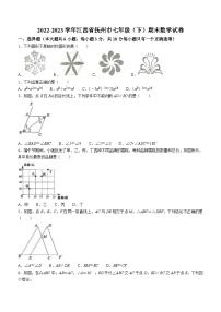 江西省抚州市2022-2023学年七年级下学期期末数学试题（含答案）