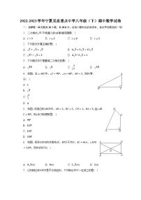 2022-2023学年宁夏吴忠重点中学八年级（下）期中数学试卷（含解析）