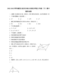 2022-2023学年黑龙江省齐齐哈尔市部分学校八年级（下）期中数学试卷（含解析）