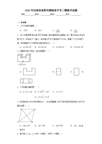 2023年河南省南阳市桐柏县中考三模数学试题（含解析）