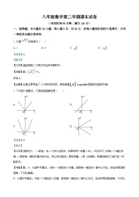 八年级数学第二学期期末试卷（解析版）