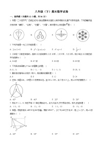 八年级下学期期末数学试题