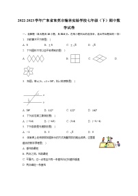 2022-2023学年广东省东莞市翰林实验学校七年级（下）期中数学试卷（含解析）