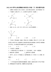 2022-2023学年山东省聊城市东阿县七年级（下）期末数学试卷（含解析）