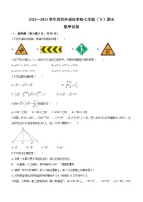 广东省深圳市外国语学校2022-2023学年七年级下学期期末数学试题（含答案）