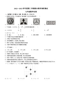 广东省湛江市徐闻县2022—2023学年七年级下学期期末数学试题（含答案）