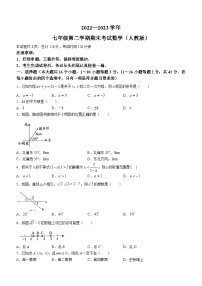 河北省邢台市威县威县第三中学2022-2023学年七年级下学期6月期末数学试题（含答案）