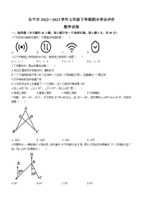 江西省景德镇市乐平市2022-2023学年七年级下学期期末数学试题（含答案）