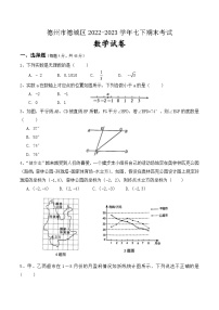 山东省德州市德城区2022-2023学年下学期期末考试七年级数学试题(含答案)