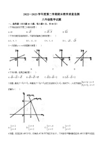 广东省惠州市惠阳区2022-2023学年八年级下学期期末数学试题（含答案）